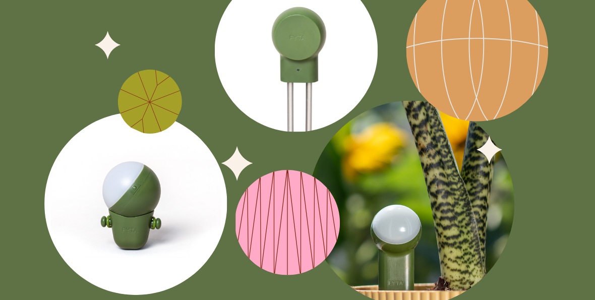 FYTA Geschenkgutschein