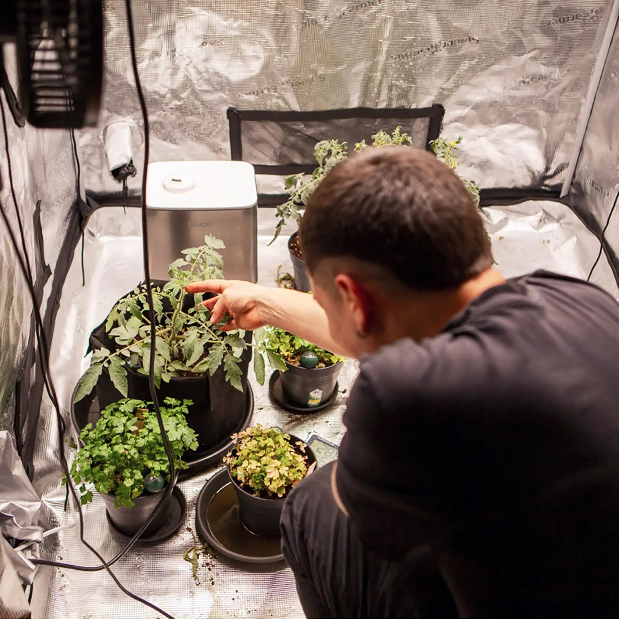 FYTA 2.0: Grow Set