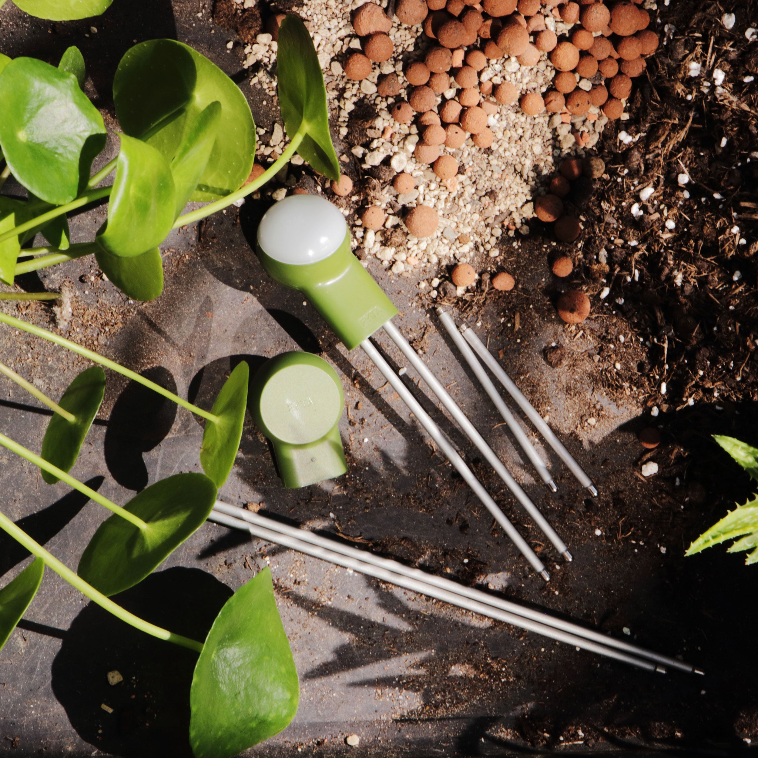 FYTA 2.0: Grove Set + Beam