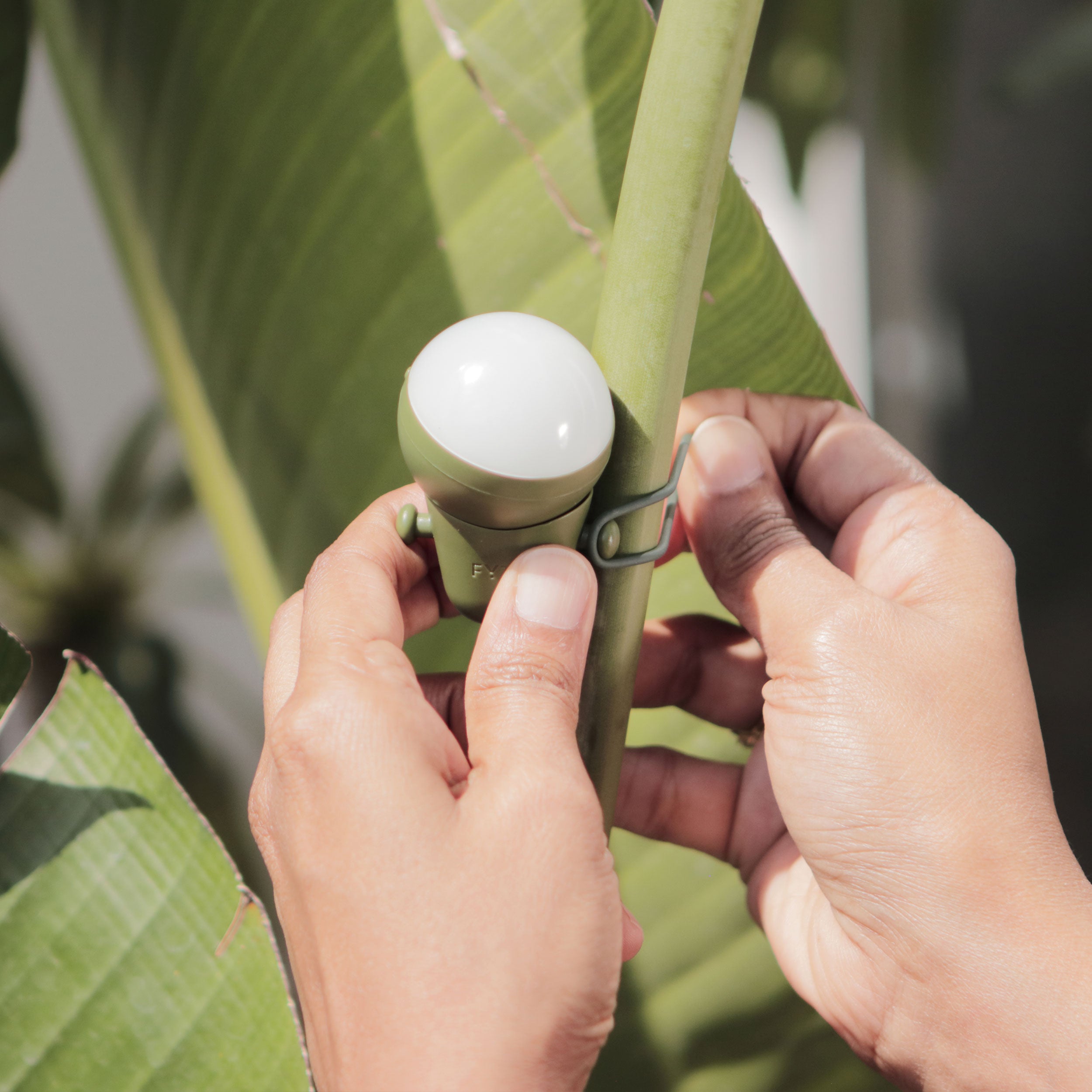 FYTA 2.0: Sphere