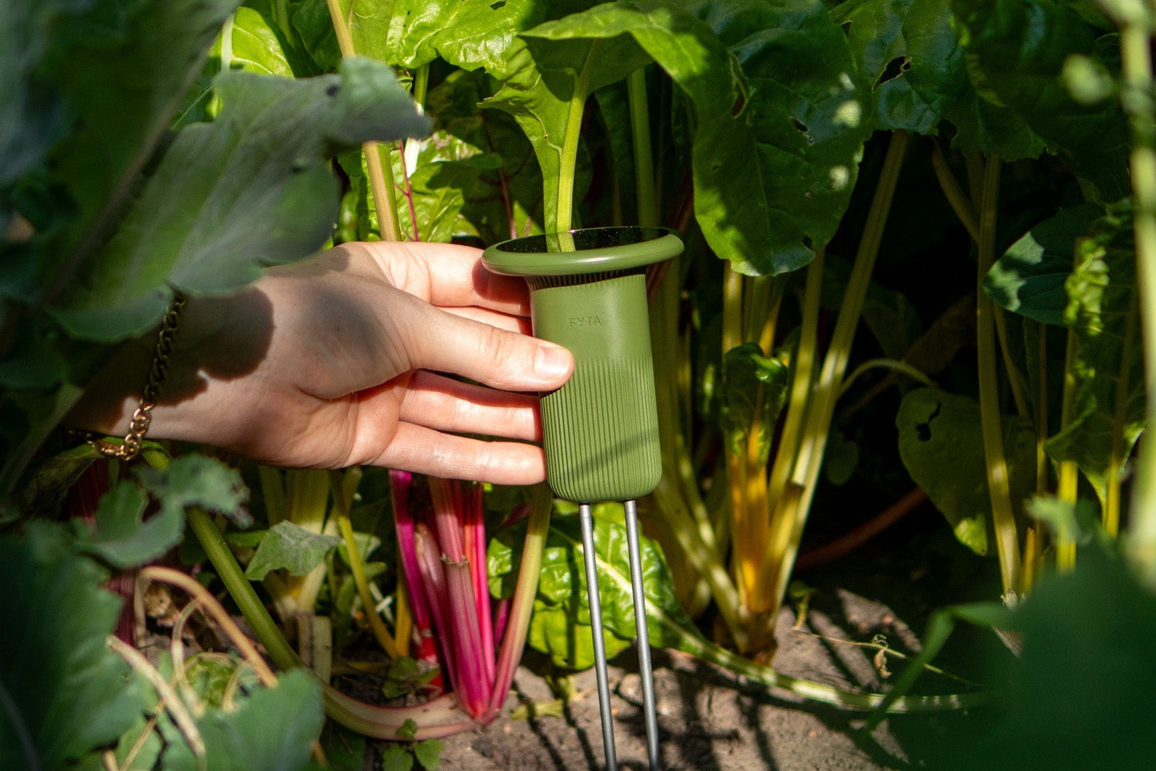 FYTA 2.0: Terra (Stablänge wählbar)