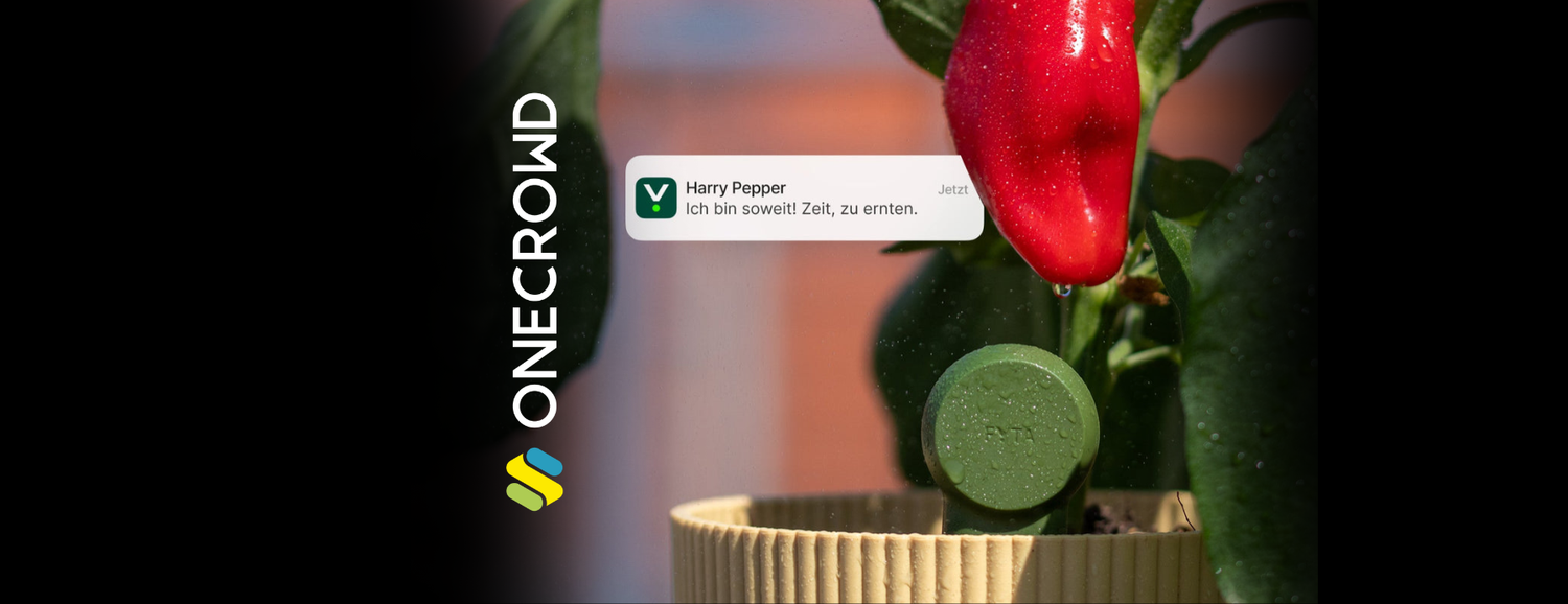 FYTA Crowd-Invest: Jetzt in smarte Pflanzengesundheit investieren
