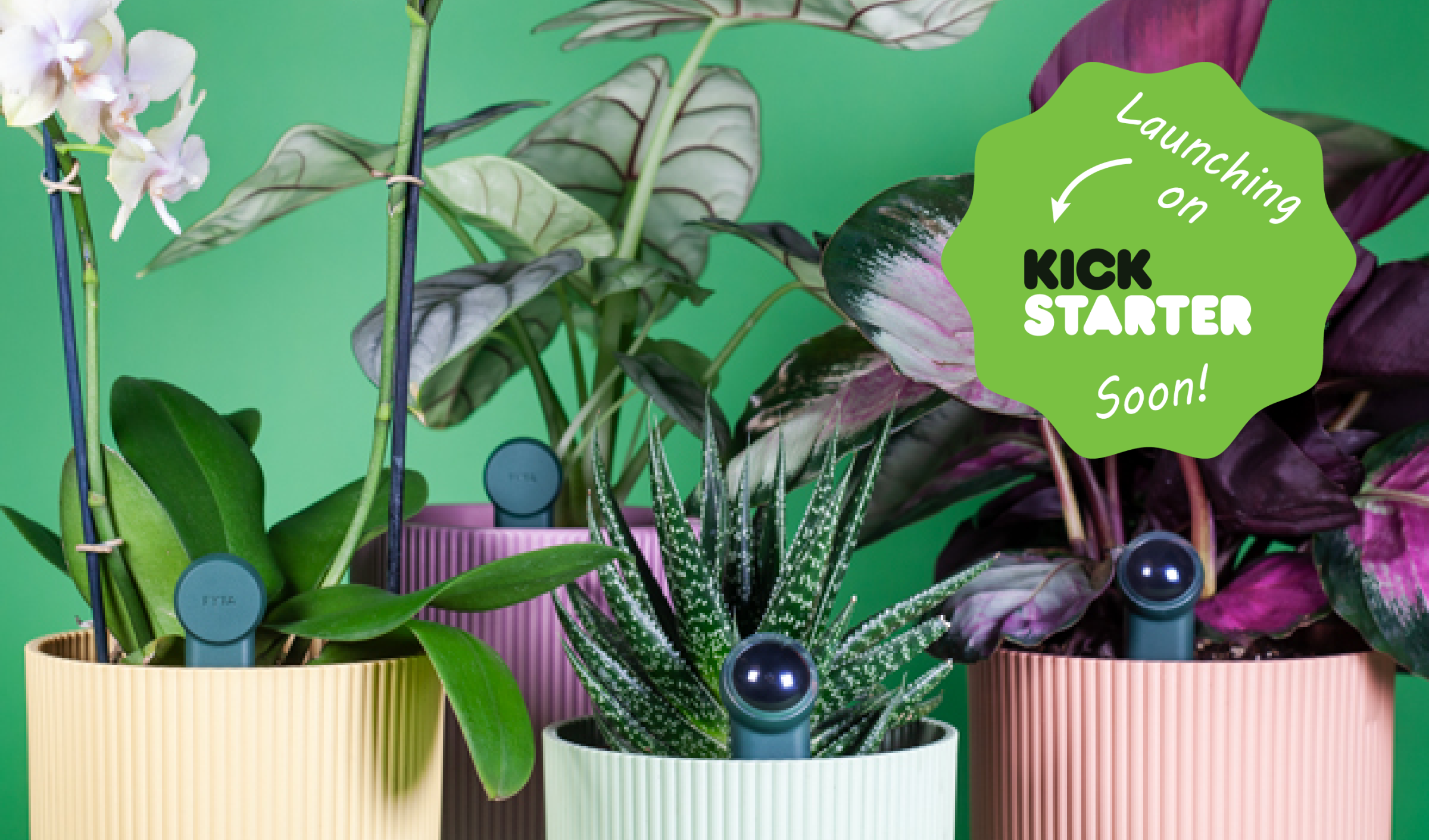FYTA 2.0 - live auf Kickstarter