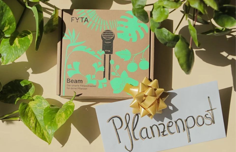 Gewinner Monatsgewinnspiel