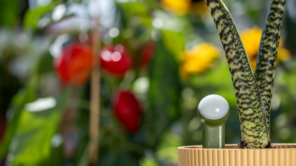 FYTA Pflanzensensor — Smarte Pflanzenpflege für Zimmer & Garten