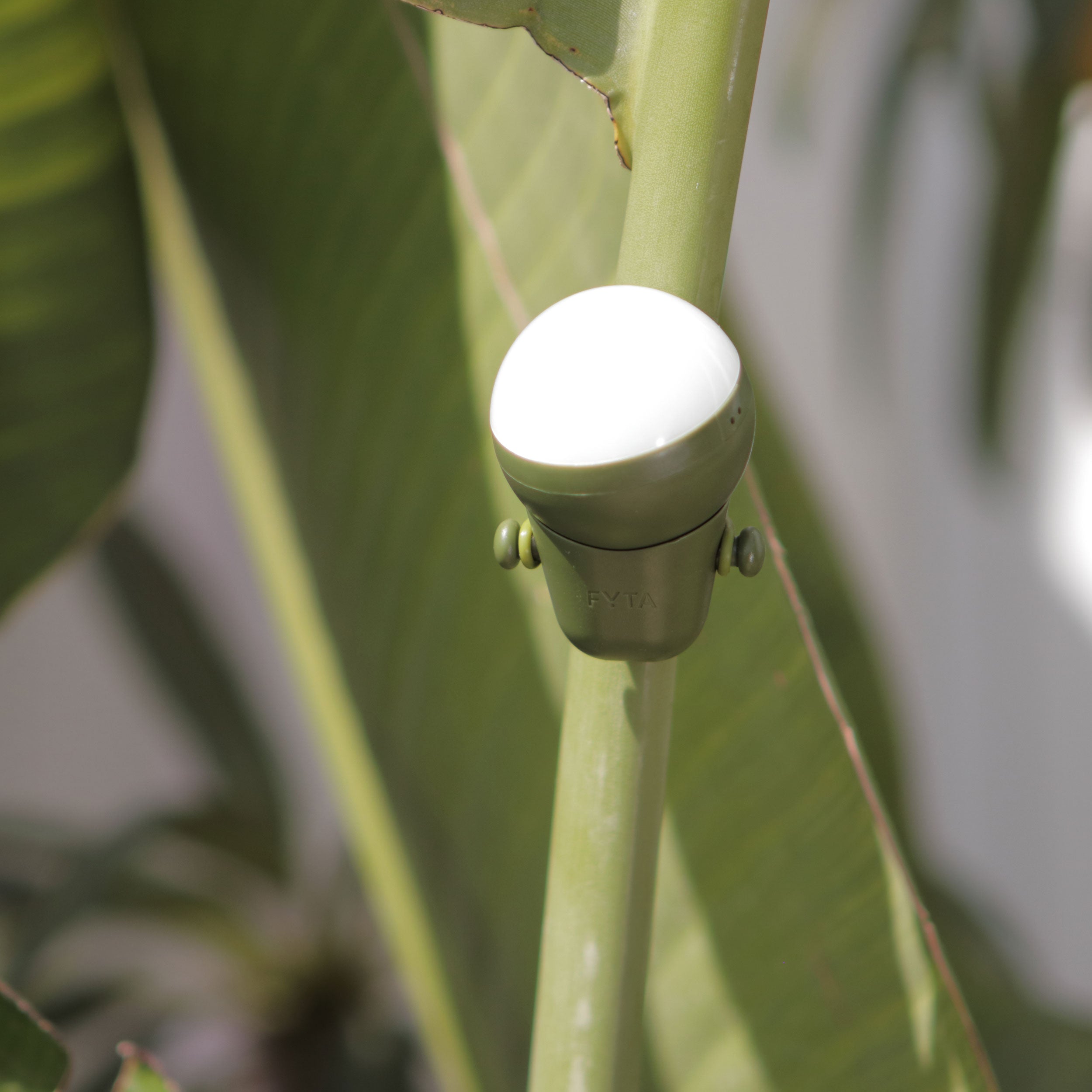 FYTA 2.0: Sphere